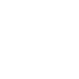 TDH-2025 - QR-Code PayPal_negativ (1)